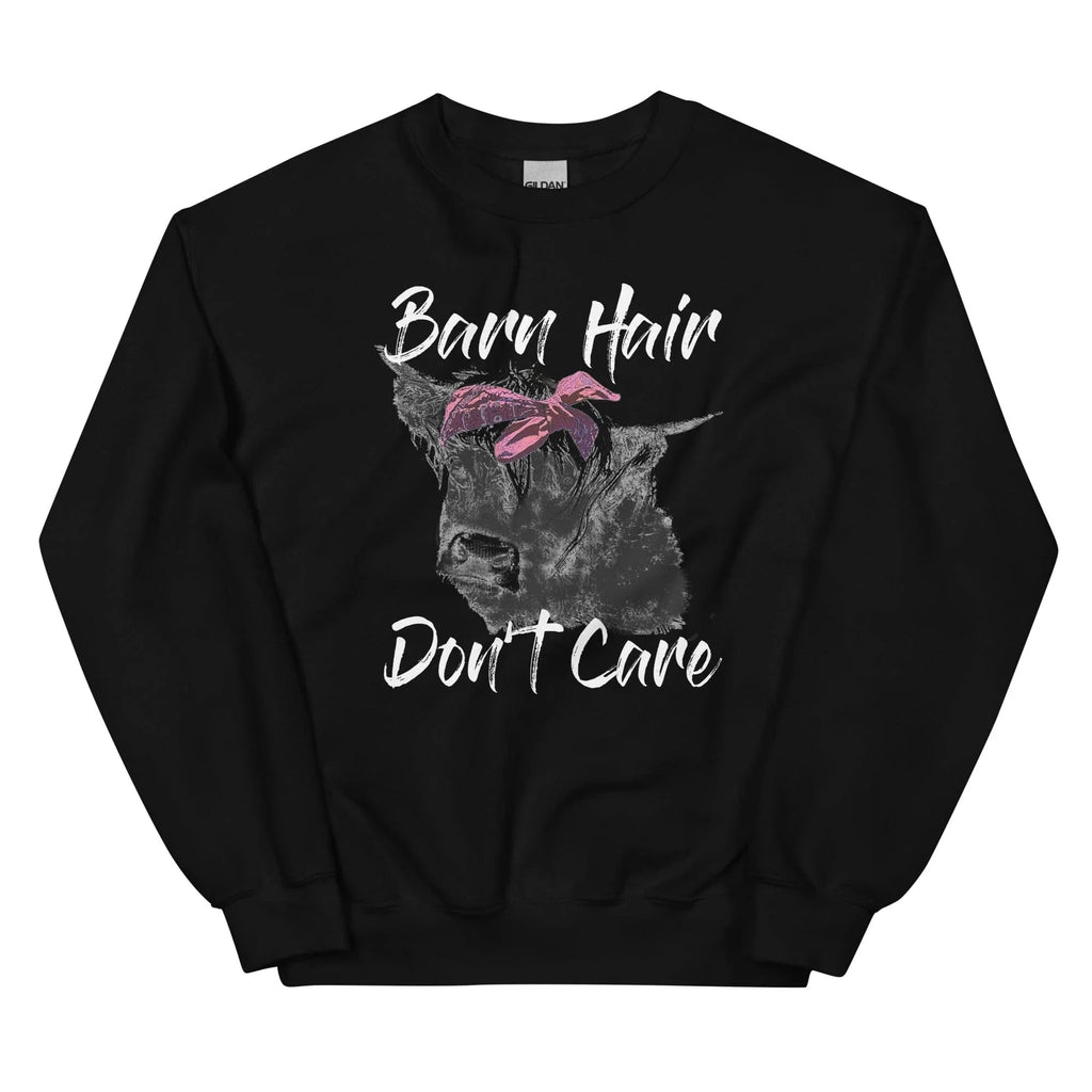 Barn Hair Don't Care Sweatshirt product image 4