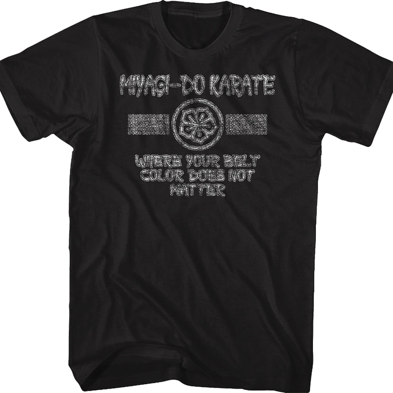 Belt Color Does Not Matter Karate Kid T-Shirt product image 1