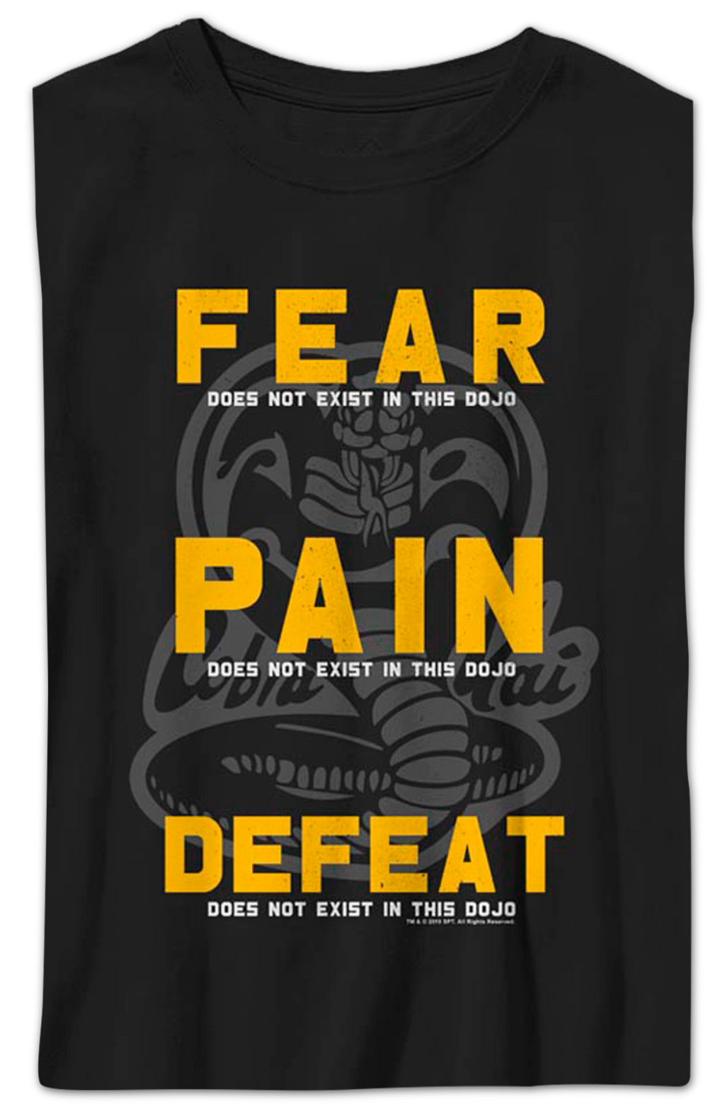 Boys Youth Fear Pain Defeat Do Not Exist In This Dojo Cobra product image 1