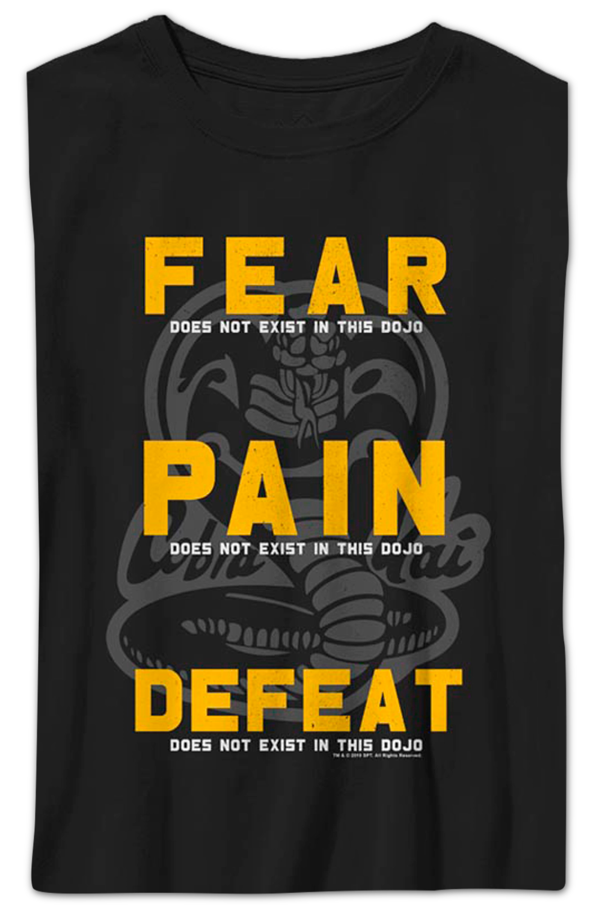 Boys Youth Fear Pain Defeat Do Not Exist In This Dojo Cobra product image 1