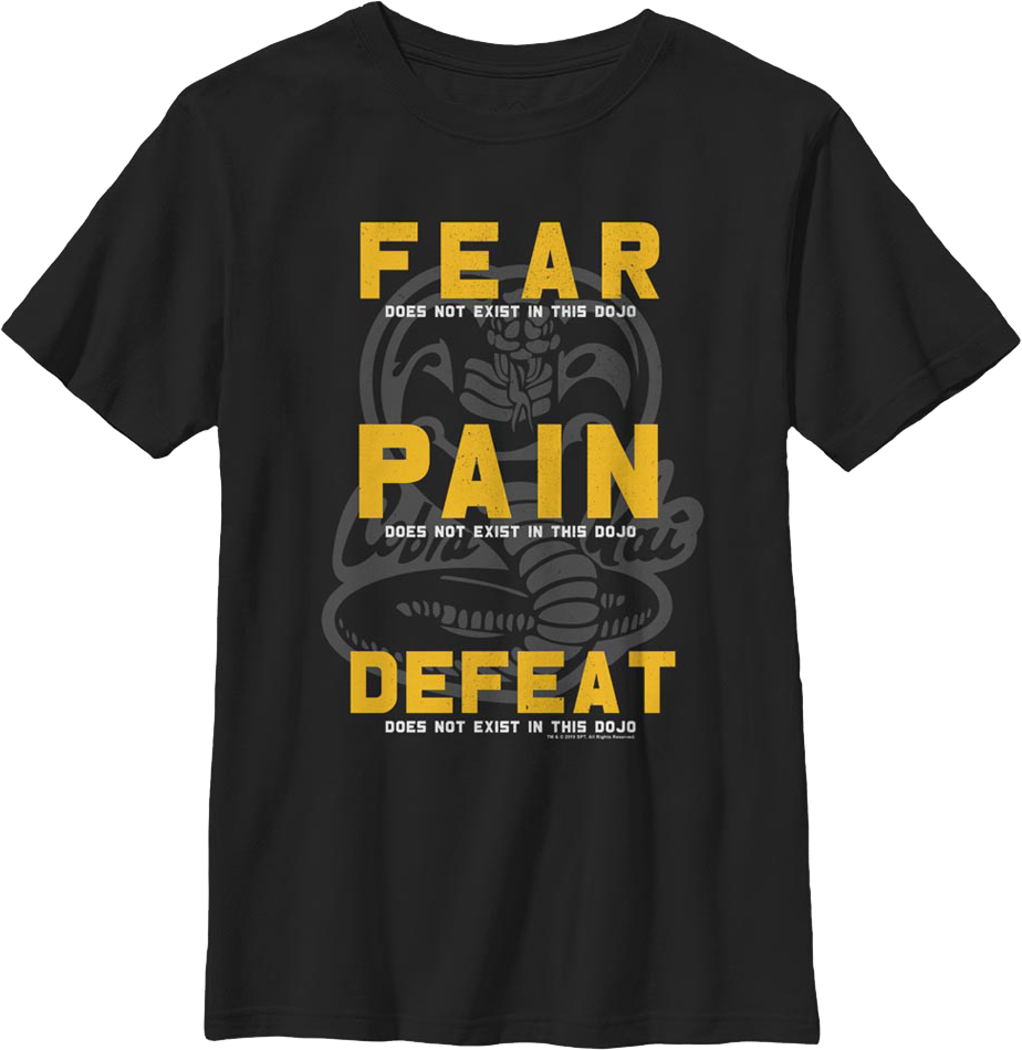 Boys Youth Fear Pain Defeat Do Not Exist In This Dojo Cobra product image 2