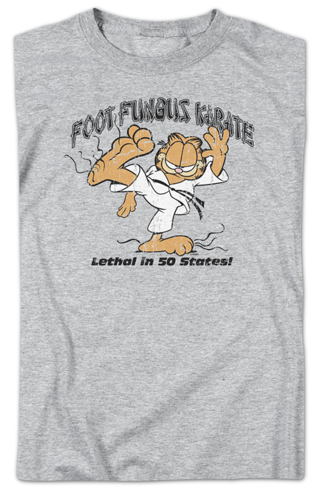 Foot Fungus Karate Garfield T-Shirt product image 2