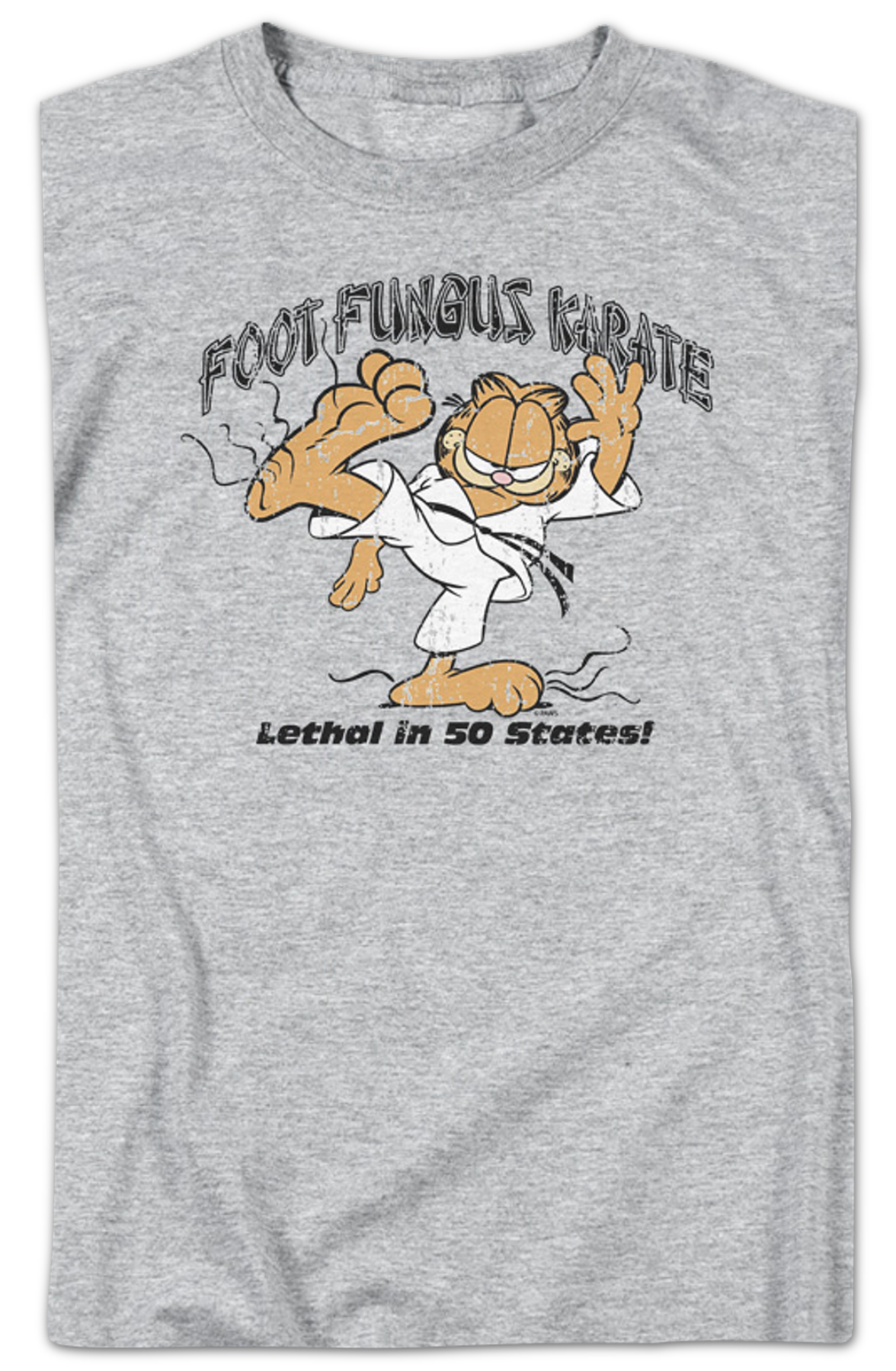 Foot Fungus Karate Garfield T-Shirt product image 2