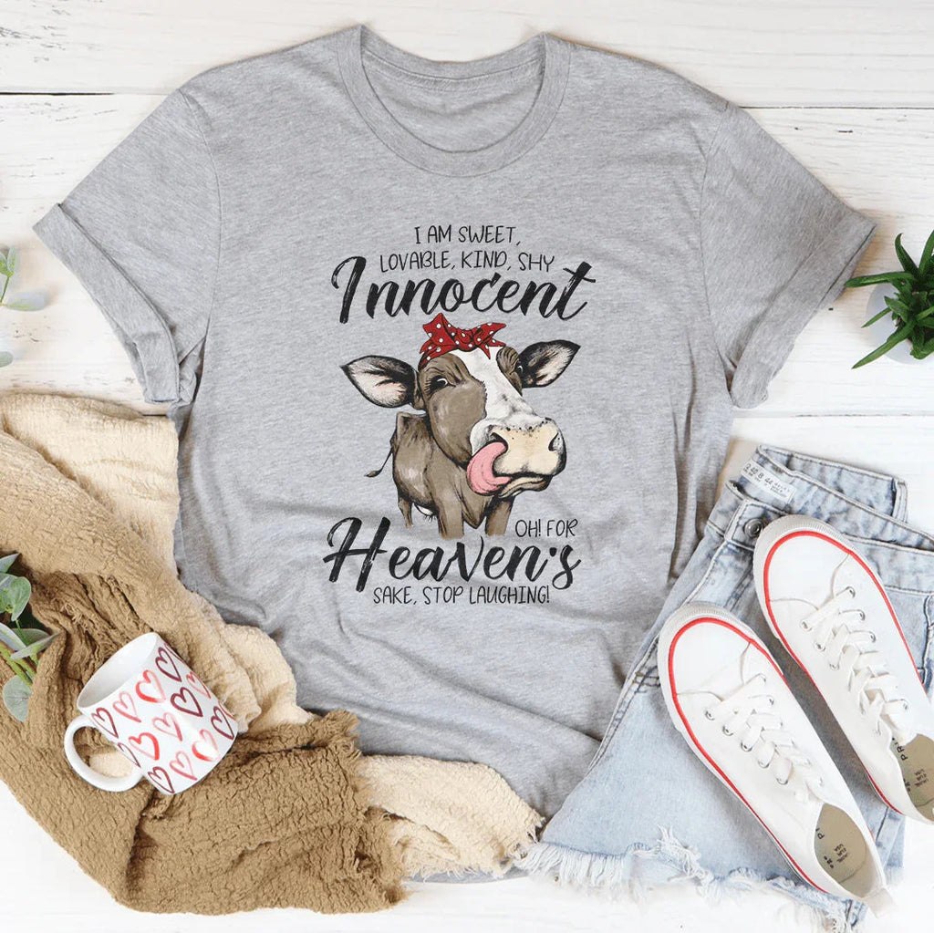 I Am Sweet Lovable Kind Shy Innocent Tee product image 2