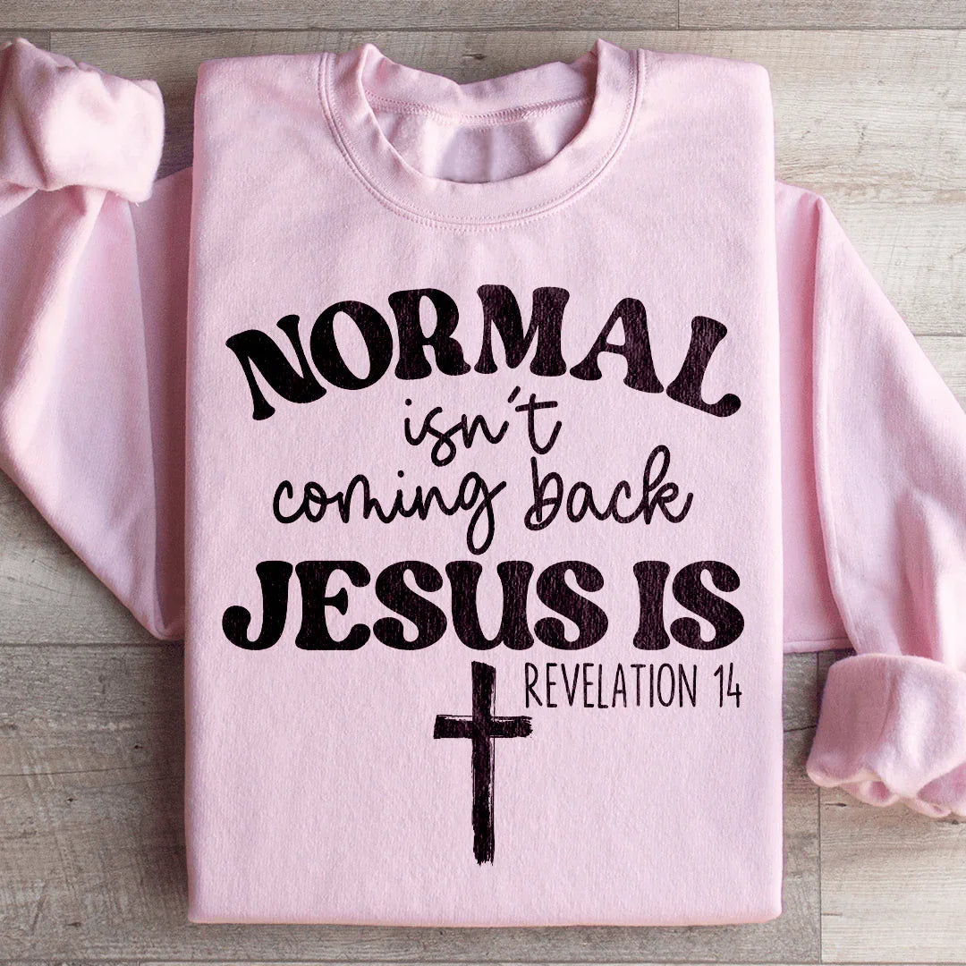 Jesus Is Coming Back Sweatshirt product image 4