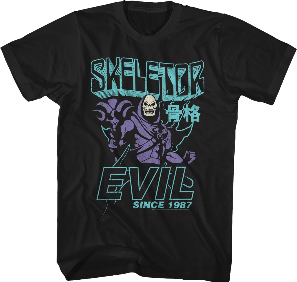 Skeletor Evil Since 1987 Masters of the Universe T-Shirt product image 1