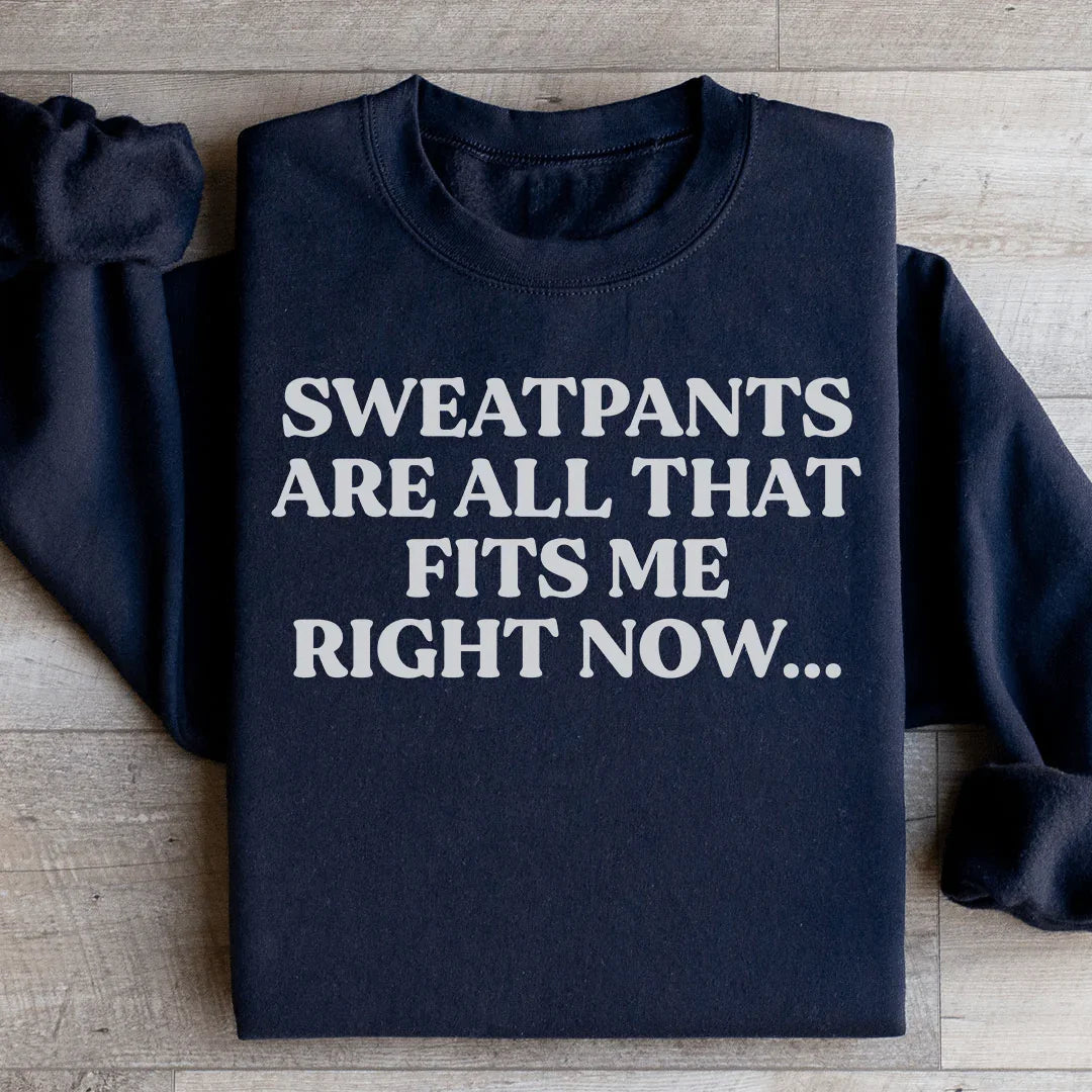 Sweatpants Are All That Fits Me Right Now Sweatshirt product image 3