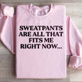 Sweatpants Are All That Fits Me Right Now Sweatshirt product image 1