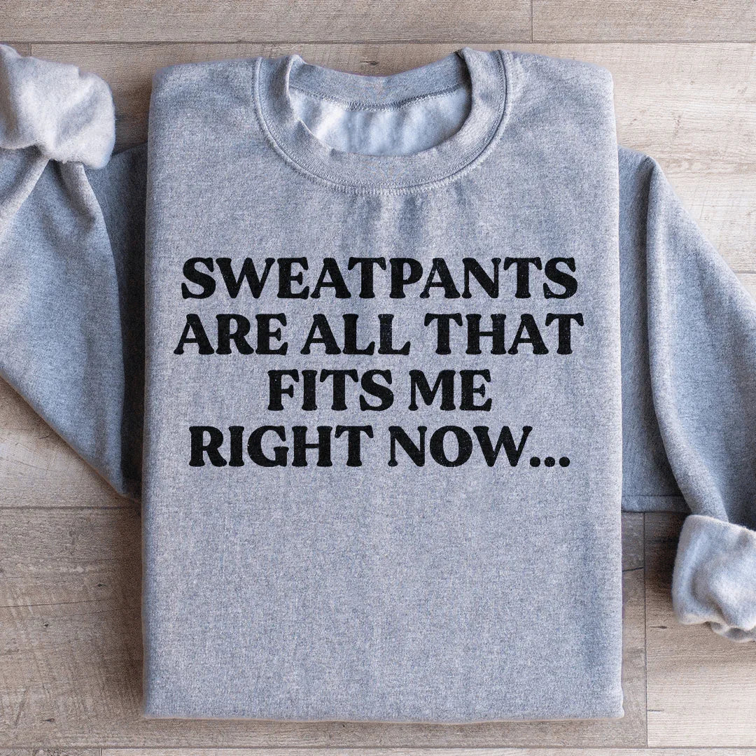 Sweatpants Are All That Fits Me Right Now Sweatshirt product image 4