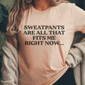 Sweatpants Are All That Fits Me Right Now Tee product image 1