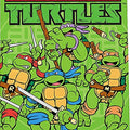Teenage Mutant Ninja Turtles Playing Cards