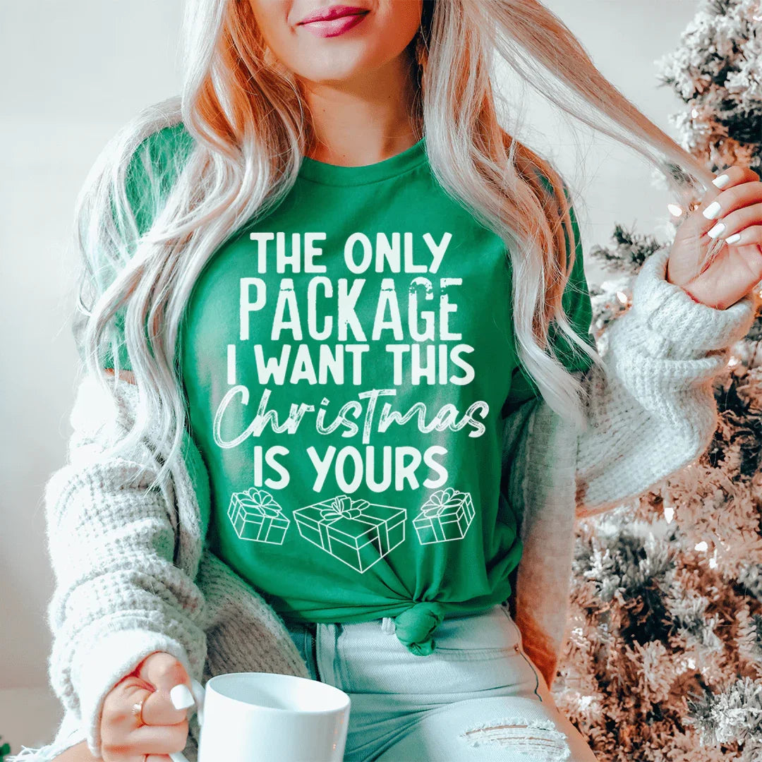 The Only Package I Want This Christmas Tee product image 2