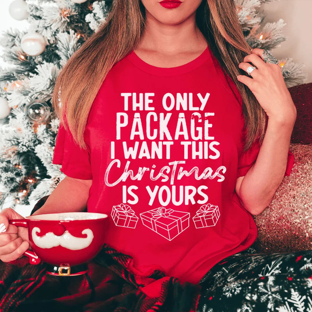 The Only Package I Want This Christmas Tee product image 1