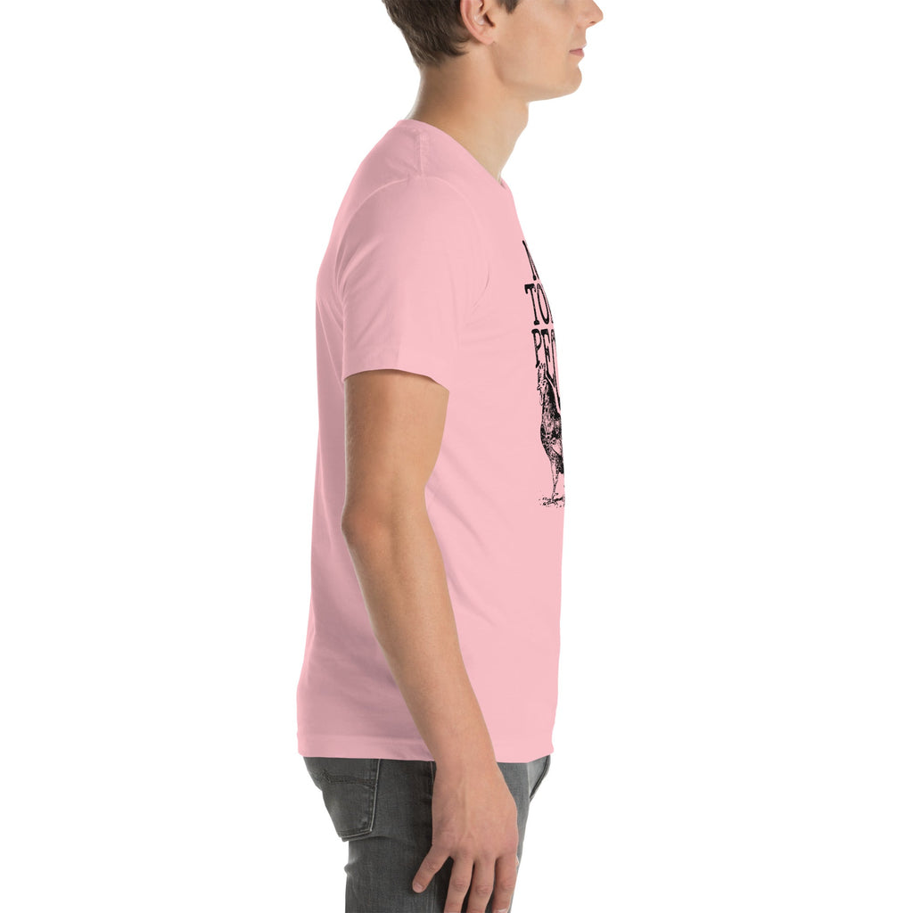 Rustic Country Humor Graphic Shirt – \"NOT TODAY PECKER\" product image 8