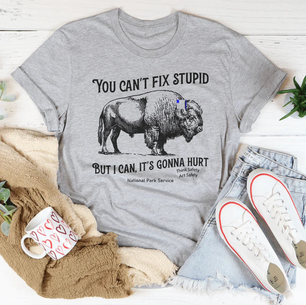 You Can't Fix Stupid But I Can Tee product image 3